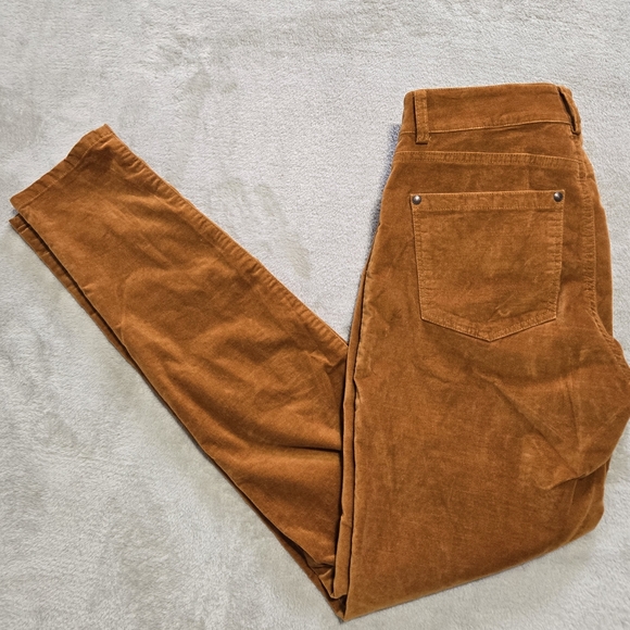 Peruvian Connection Pants - Peruvian Connection Zoe Velveteen Pants Cinnamon Size 2 Like NEW Condition